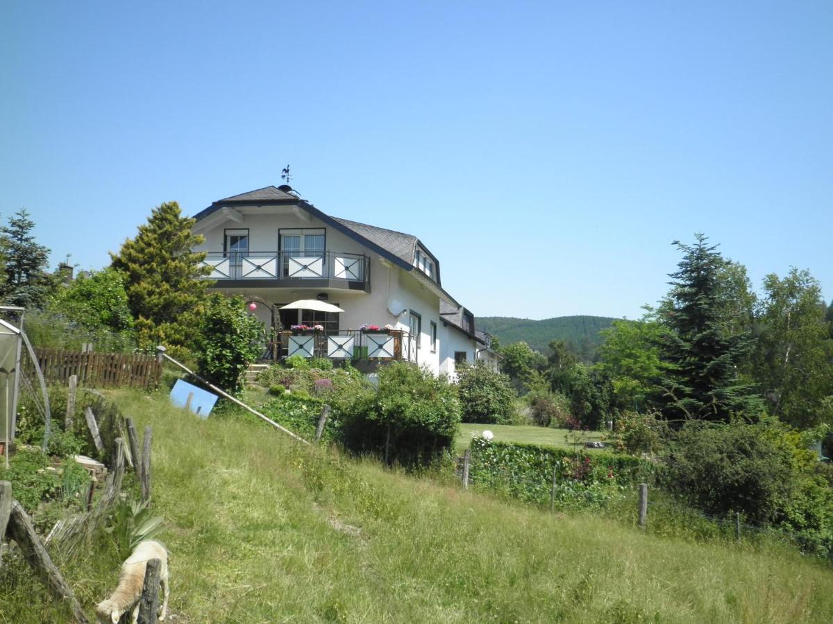 Fewo Jaeger Willingen  Exterior photo